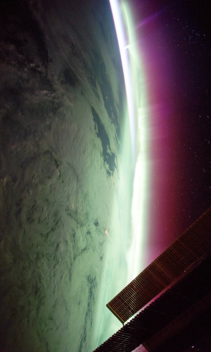 Aurora from the ISS

📸 NASA