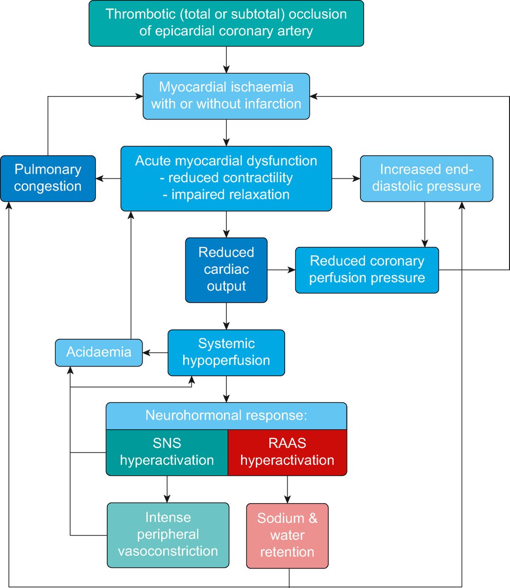 In managing cardiogenic shock after ACS: pharmacological and mechanical circulatory support enable revascularisation, advanced therapies and recovery.

Read more in our Editor's Choice #BJAEd article:
bjaed.org/article/S2058-… #CriticalCare