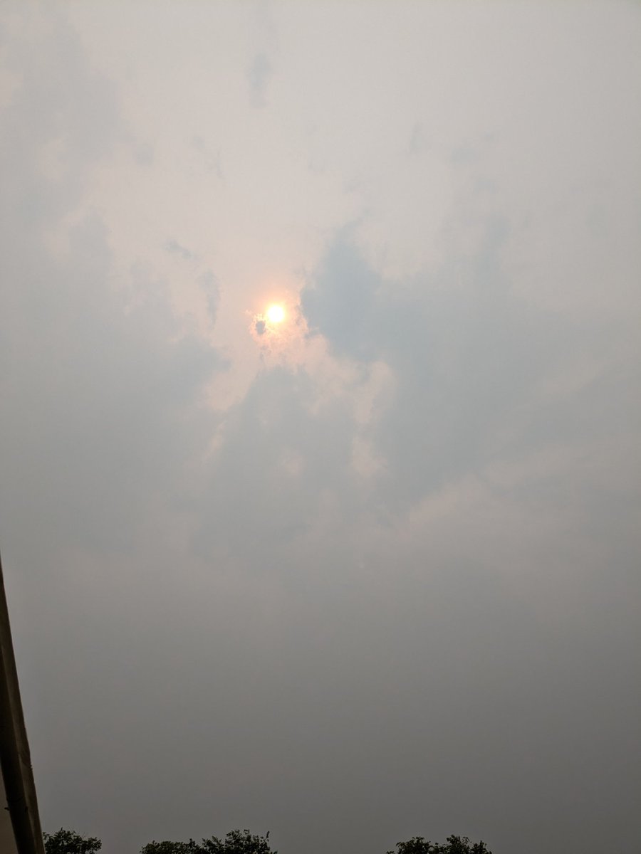 We planted under an unsettling orange sky in hope of a harvest not promised, I watered sunflowers planted to remember the children taken from us under a dark-too-early sky while the mountain watched on as a hazy memory. "Practice Resurrection" the mad farmer says. And so, we try.