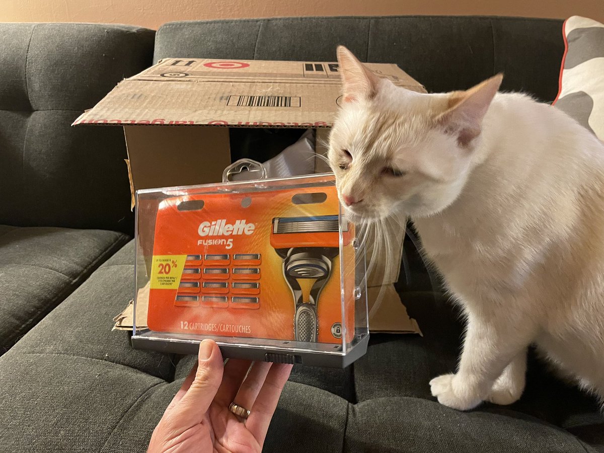 JasonFiorillo's tweet photo. @Target Seriously? You ship me razors in anti-theft packaging? Even my cat recognizes this error. #target https://t.co/Uot3kRT8te