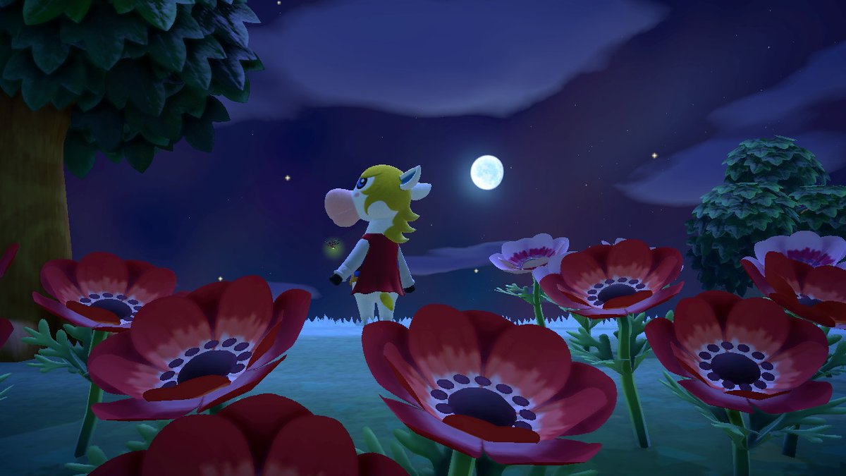 OurDeerValley's tweet photo. #AnimalCrossing #ACNH #NintendoSwitch https://t.co/NiwWWvHg5g
