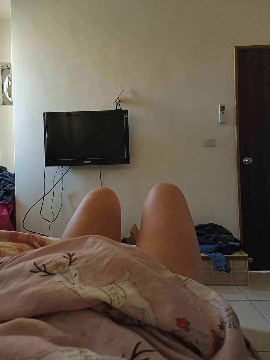 萌㗳豬 tweet media