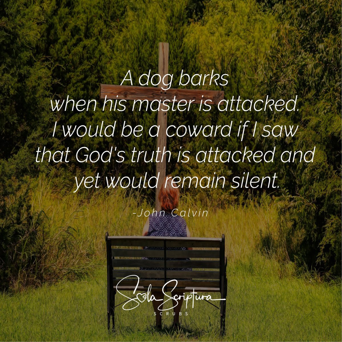 Just as a loyal dog defends its master, let us boldly defend God's truth when it is under attack. May we never shy away from standing up for what is right and proclaiming the Gospel with courage. No more backseat Christianity! #DefendTruth #BoldWitness #SolaScripturaScrubs