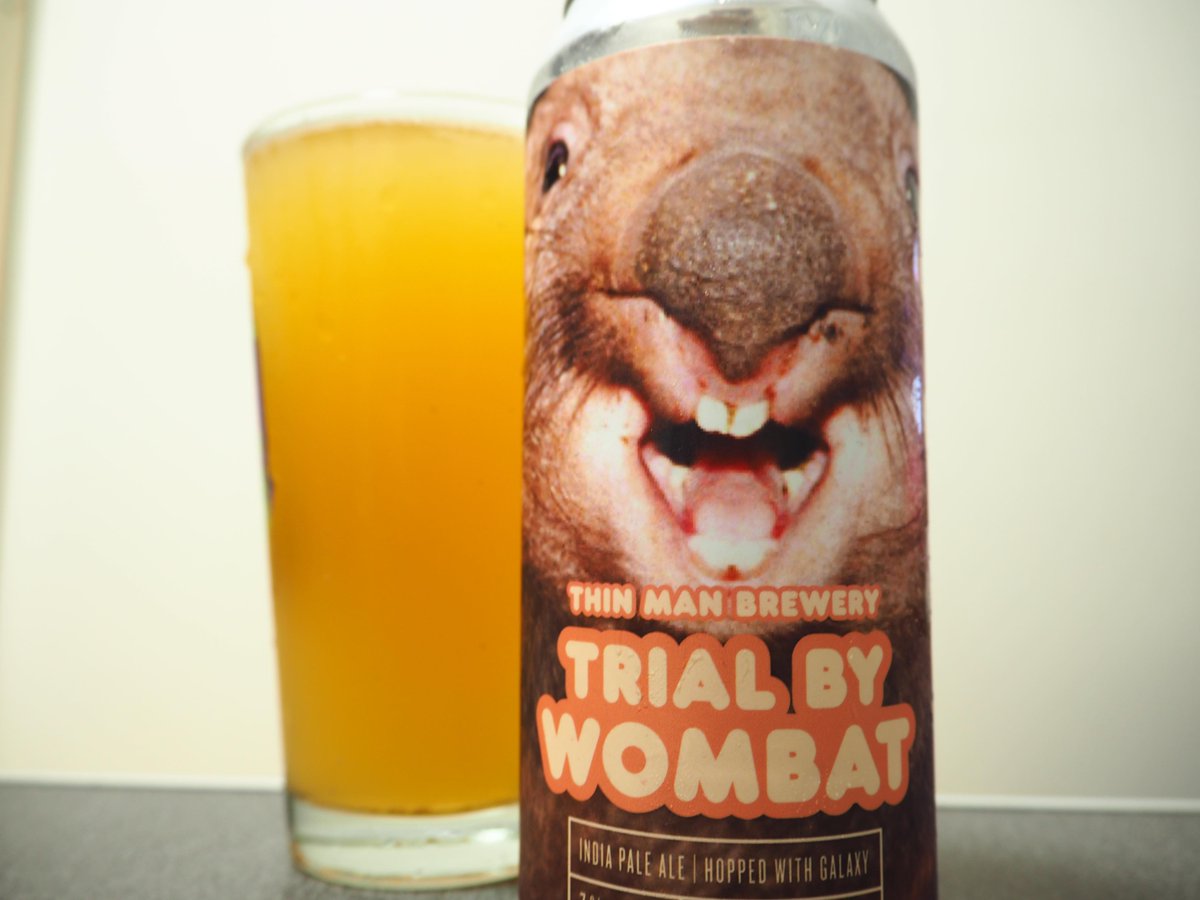 6/7
今日のビール
TRIAL BY WOMBAT/Thin Man Brewery
NYの未輸入の醸造所。ベジタル酸化が出てしまっていたがメロンアプリコットアロマと度数を感じさせない軽快さ、アフターにタバコ。優しくリフレッシングな爽やかバランス。超ジューシィちょい苦い正統派NE。#今日のビール #Thinmanbrewery #ビール