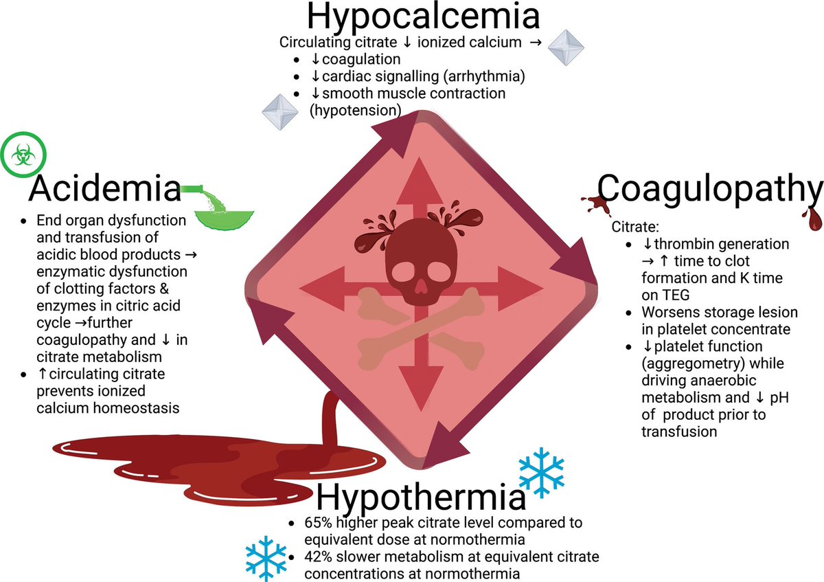 Impact of Transfused Citrate on Pathophysiology in Massive Transfusion

CCR Journal Watch
criticalcarereviews.com/latest-evidenc…

Get the latest critical care literature every weekend via the CCR Newsletter - subscribe at criticalcarereviews.com/homepage/subsc…