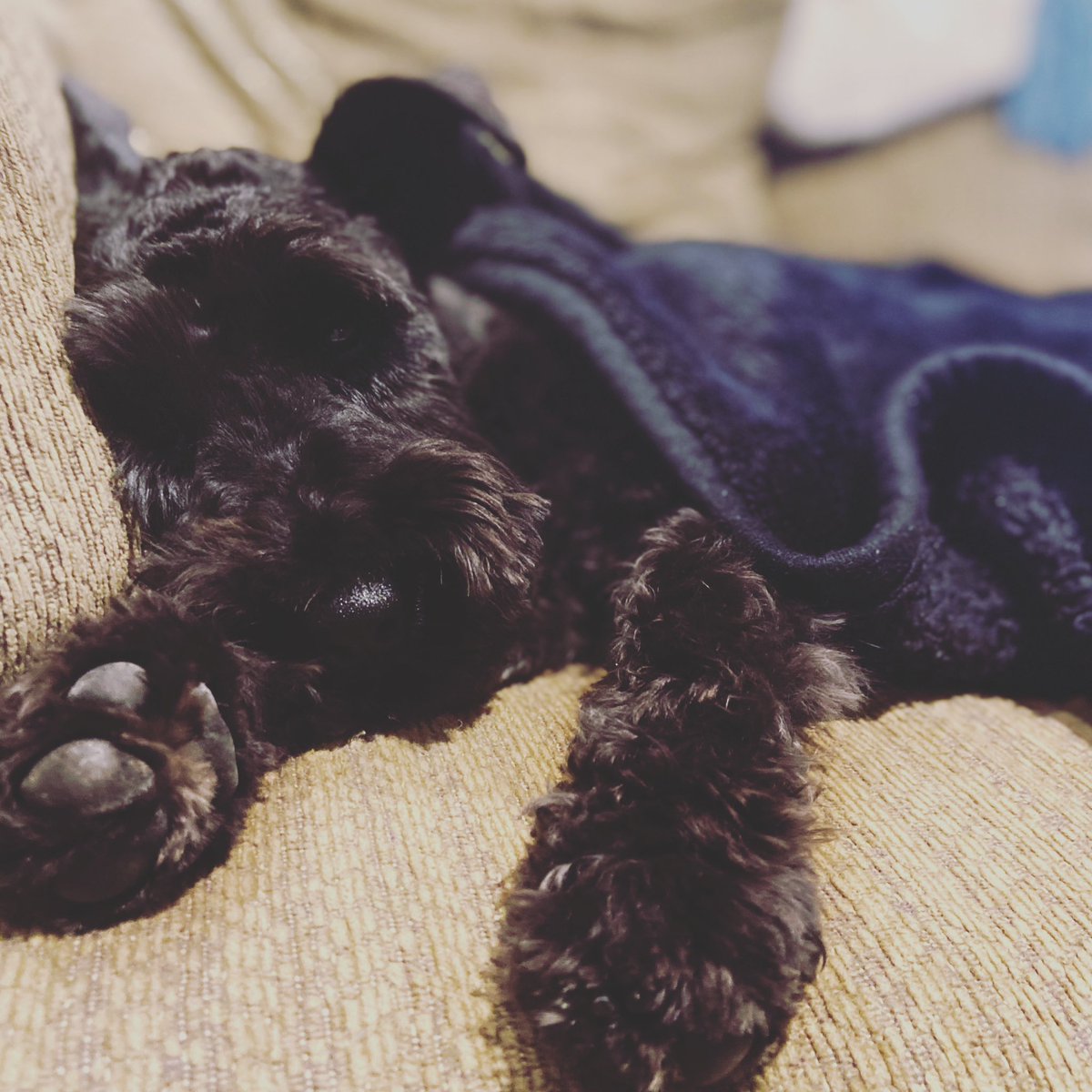 ♡ 𝒥ℯ𝓃𝓃𝓎 ♡ tweet media