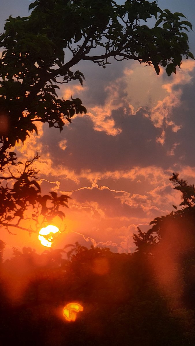 Enjoy The Sunset With Us 😌
.
.
.
#Sunset #Sky #DayToNight #EveningMood #Photography #OutMyWindow #Clouds #Trees #Sun #SunSetting #Nature #Pennsylvania #PA #Reds #Oranges #Calming #Beautiful #Enjoy #Namaste