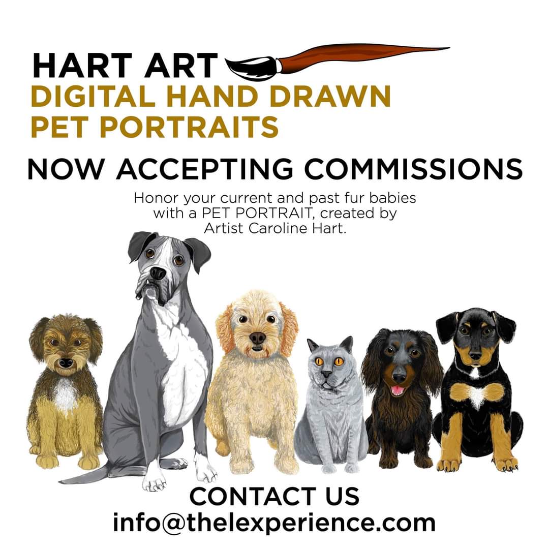 Pet lover's! This one's for you! #HartArt #petportraits #theLexperience