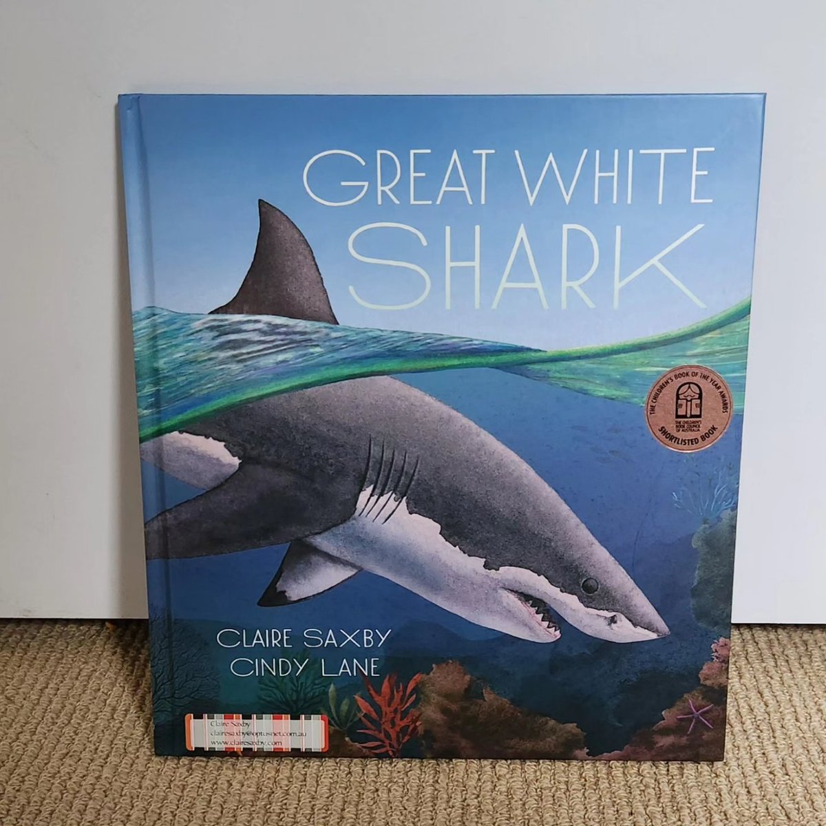 Happy US Birthday to Great White Shark! <a href="/cindylaneart/">Cindy Lane Art</a> <a href="/Candlewick/">Candlewick Press</a>