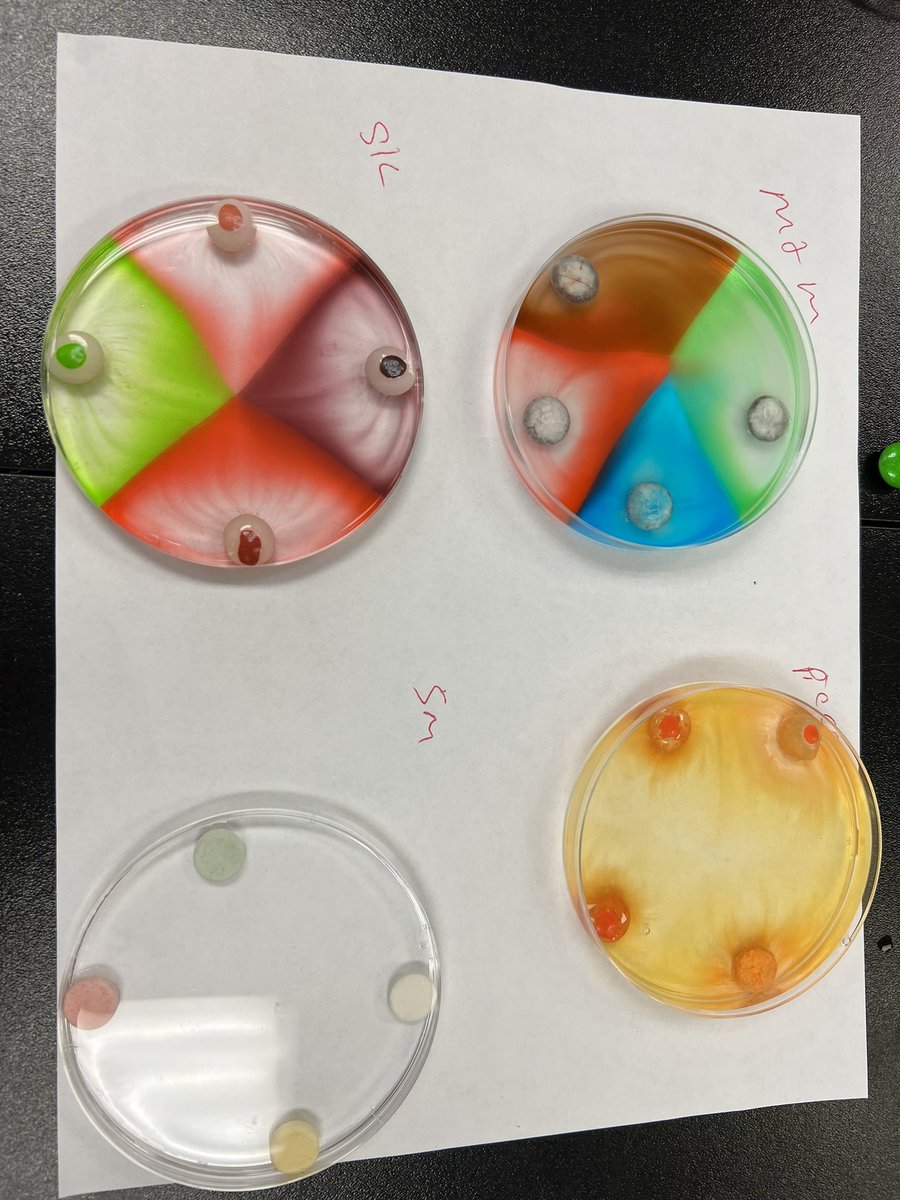 MsDeBottisbio's tweet image. What else would I be doing during my first week of summer vacation??? PD of course! #ExplorebeforeExplain I love learning new strategies with minimal prep time, but maximum output for my students! @HumbleISD_PL @Humble_2ndSci  New ideas are flowing already! 🧠 @HumbleISD_KPHS