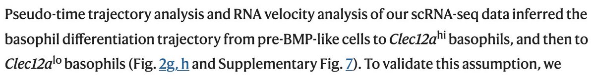 Lior Pachter (@lpachter) on Twitter photo What is happening in single-cell genomics?! A new paper from the Karasuyama lab at <a href="/TMDUniversity/">TMDU - Tokyo Medical and Dental University</a> (nature.com/articles/s4146…) shows three different RNA velocity / pseudotime plots, no pair of which agree, and then merrily goes on to tell some story. 👀 What is happening in single-cell genomics?! A new paper from the Karasuyama lab at <a href="/TMDUniversity/">TMDU - Tokyo Medical and Dental University</a> (nature.com/articles/s4146…) shows three different RNA velocity / pseudotime plots, no pair of which agree, and then merrily goes on to tell some story. 👀