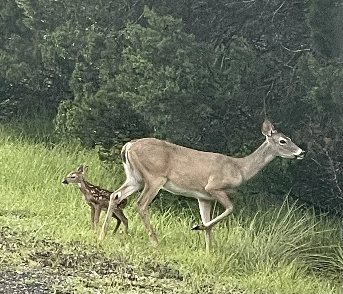 It’s that time of year!  <a href="/icanteven/">icanteven</a>
