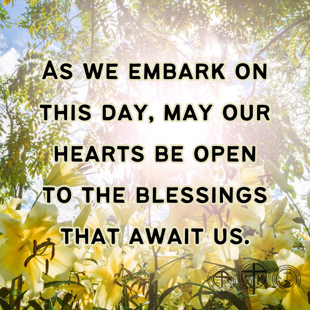 Friends, as we embark on this day, may our hearts be open to the blessings that await us.

#MorningReflections #EmbracingTheLight #InnerPeace #RenewalOfSpirit #HopefulHearts #SpreadLove #NurturingSouls #GratefulForToday #YAC #YMAC #SYM #SVDyouth 
#SHRINEyouthMinistry #ShrineYouth