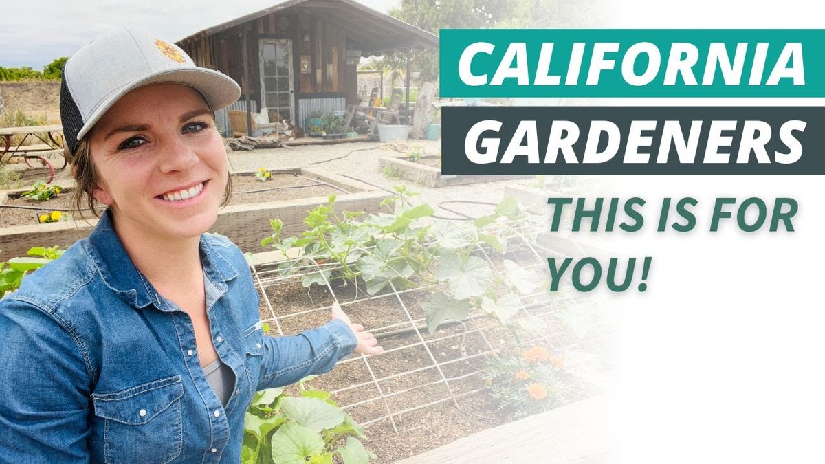 5 Must-Have Tips for California ...
 
#CaliforniaGardening #CaliforniaGardeningTips #CaliforniaGardeningZone9 #CaliforniaVegetableGarden #CentralCaliforniaGardening #CentralValleyCaliforniaGardening #CentralValleyGardening #VegetableGarden
 
diningandcooking.com/793242/5-must-…