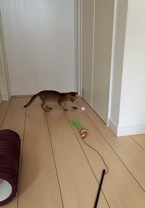 おはようございます  朝起きると身体が重い ちゃっと寝不足か?  仕事終わって 帰っても やんちゃ坊主と ついつい遊んでまう  憎いやつ^_^