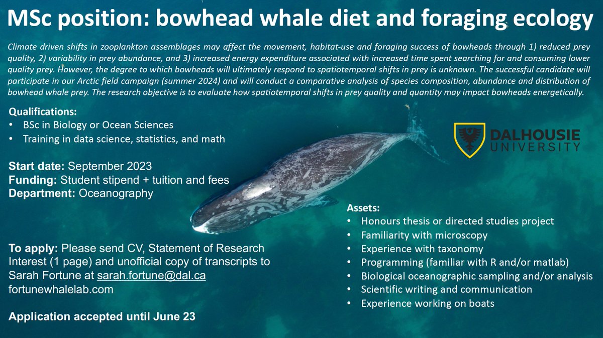 Join our lab! Fully funded MSc position studying bowhead whale diet and foraging ecology 🐋🔬🚢. Please RT.