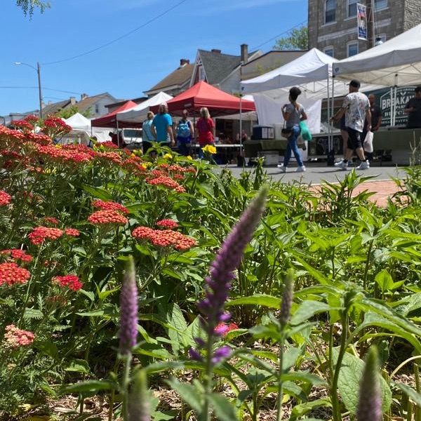 We are open and the weather is PERFECT, won't you join us? 🌼 #emmausmarket #emmausfarmersmarket #perfectsunday #farmersmarket #atthemarket