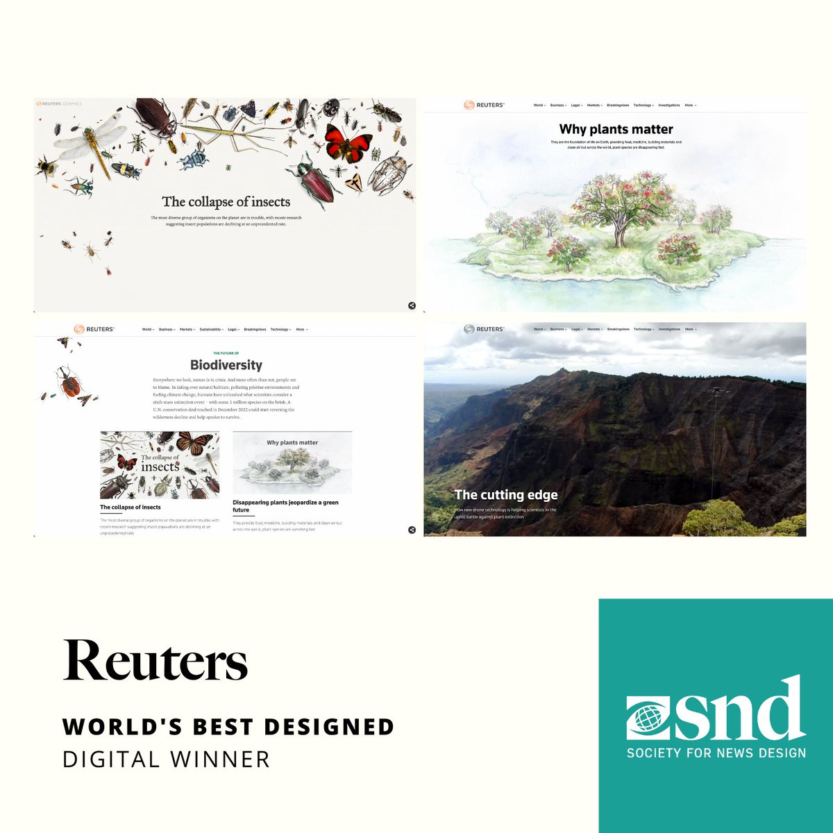 Better late than never. Big congrats to @ReutersGraphics for the @snd #snd44 major wins with the #biodiversity series. Feels surreal to be part of the team creating this awesome project. Looking forward to more collaborations. reuters.com/graphics/GLOBA…