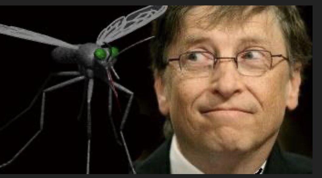 How is @BillGates allowed to do this? They are likely testing mosquito-borne disease spread in order to roll out more vaccines for the diseases they create. The entire mosquito population should be eradicated- including the king mosquito-
