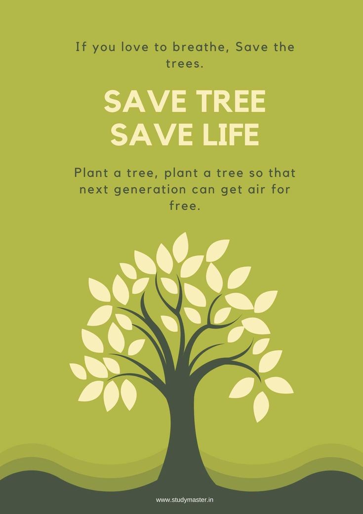 GarewalRitu's tweet photo. #WorldEnvironmentDay2023 
#EnvironmentDay 
"Save the Earth, it's our only home."🌲🌳🌿 https://t.co/XNKCZoPplT