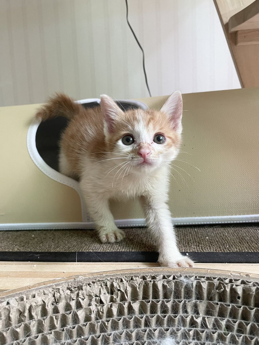 얼굴이 왜 또 꼬질꼬질 ^^
땅콩