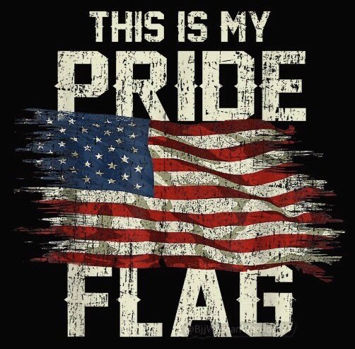 The Trump Train 🚂🇺🇸 (@the_trump_train) on Twitter photo 