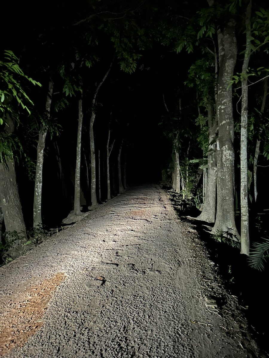 Kebabista tweet media