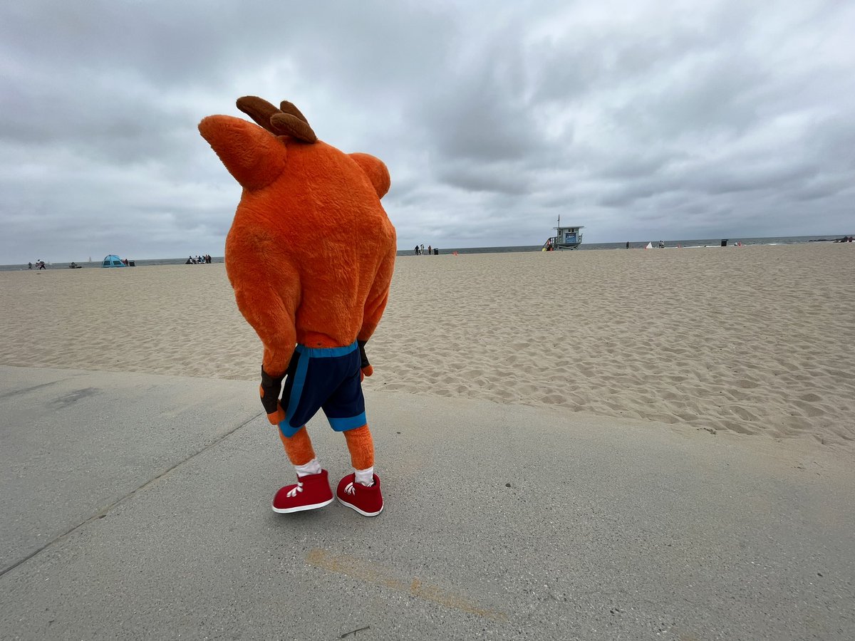 Crash Bandicoot on Twitter "Remembering tomorrow is Monday."