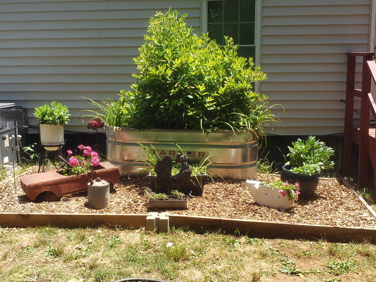 WDtravelinghat's tweet image. Busy Sunday building and renewing the flower beds. Got a huge pile of wood chips for basically free from getchipdrop.com to use as mulch. Check them out ! #getchipdrop #louisvilletn #latespring #wheelerdealersfamily #tennesseelife