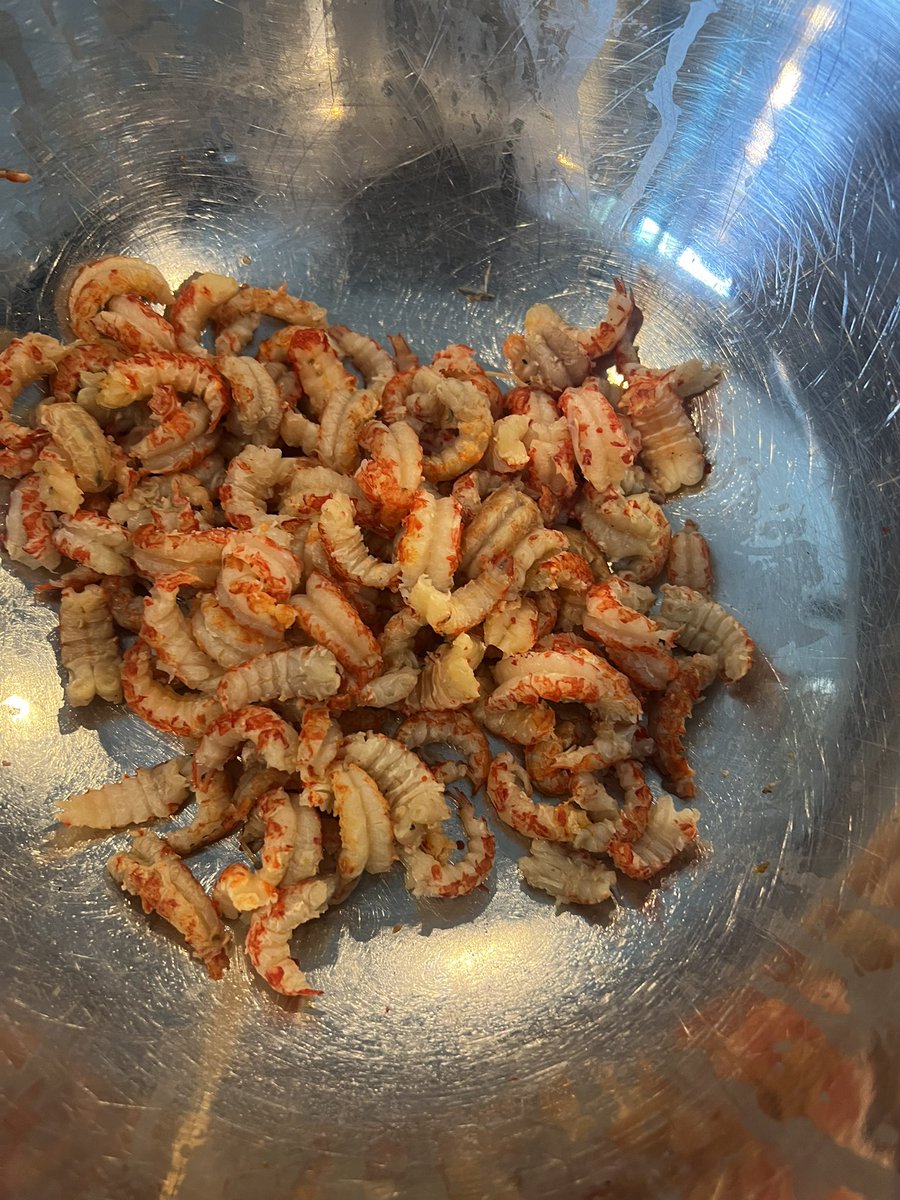 Premiere_Properties tweet media