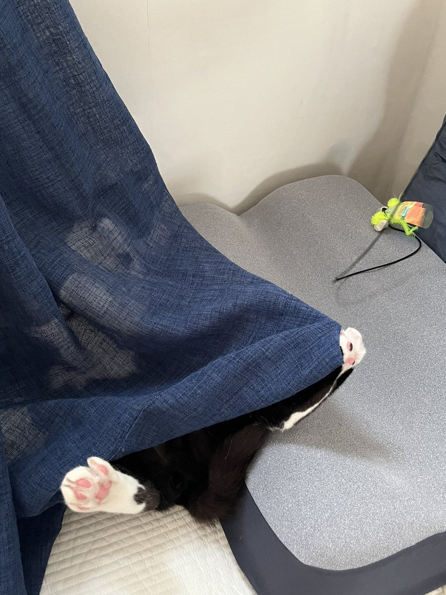 너만 재밌다면야