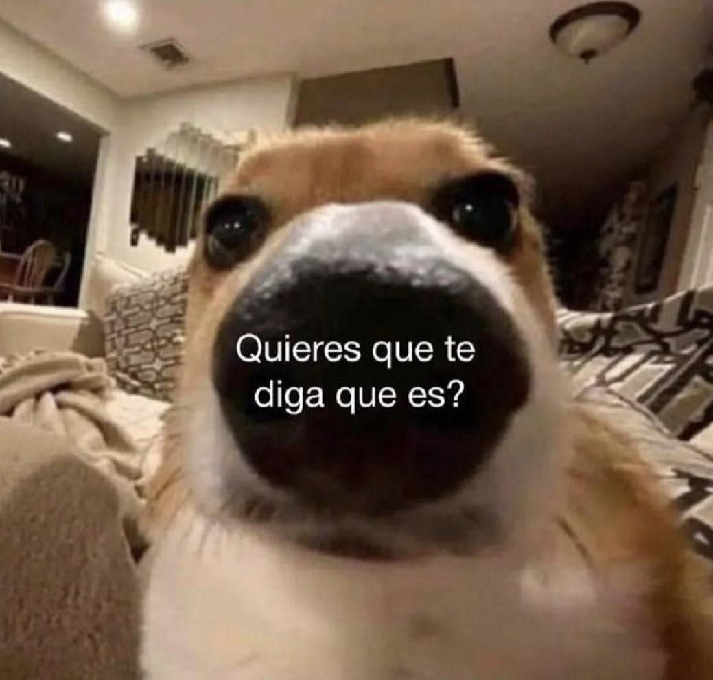 yo: mañana te cuento mejor en persona
también yo: