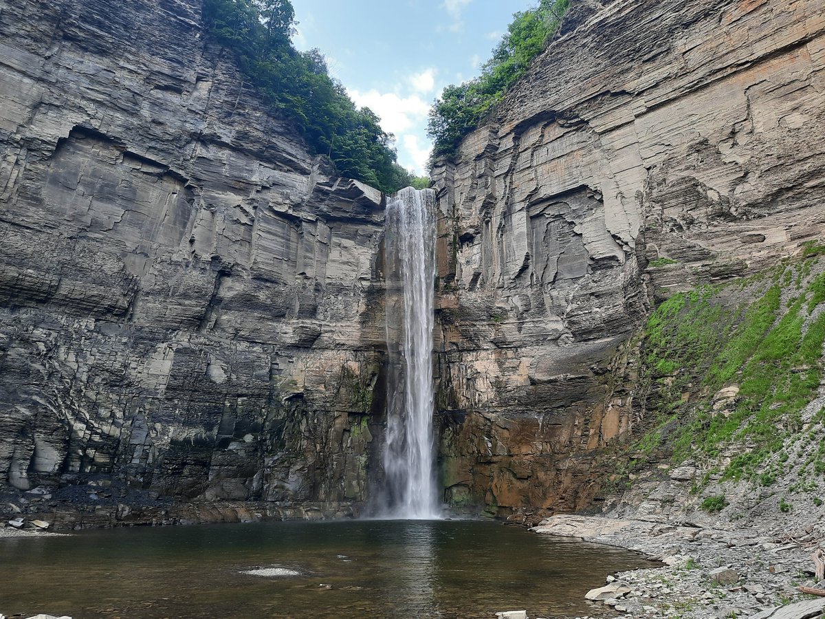 Charlie Tebbutt tweet media