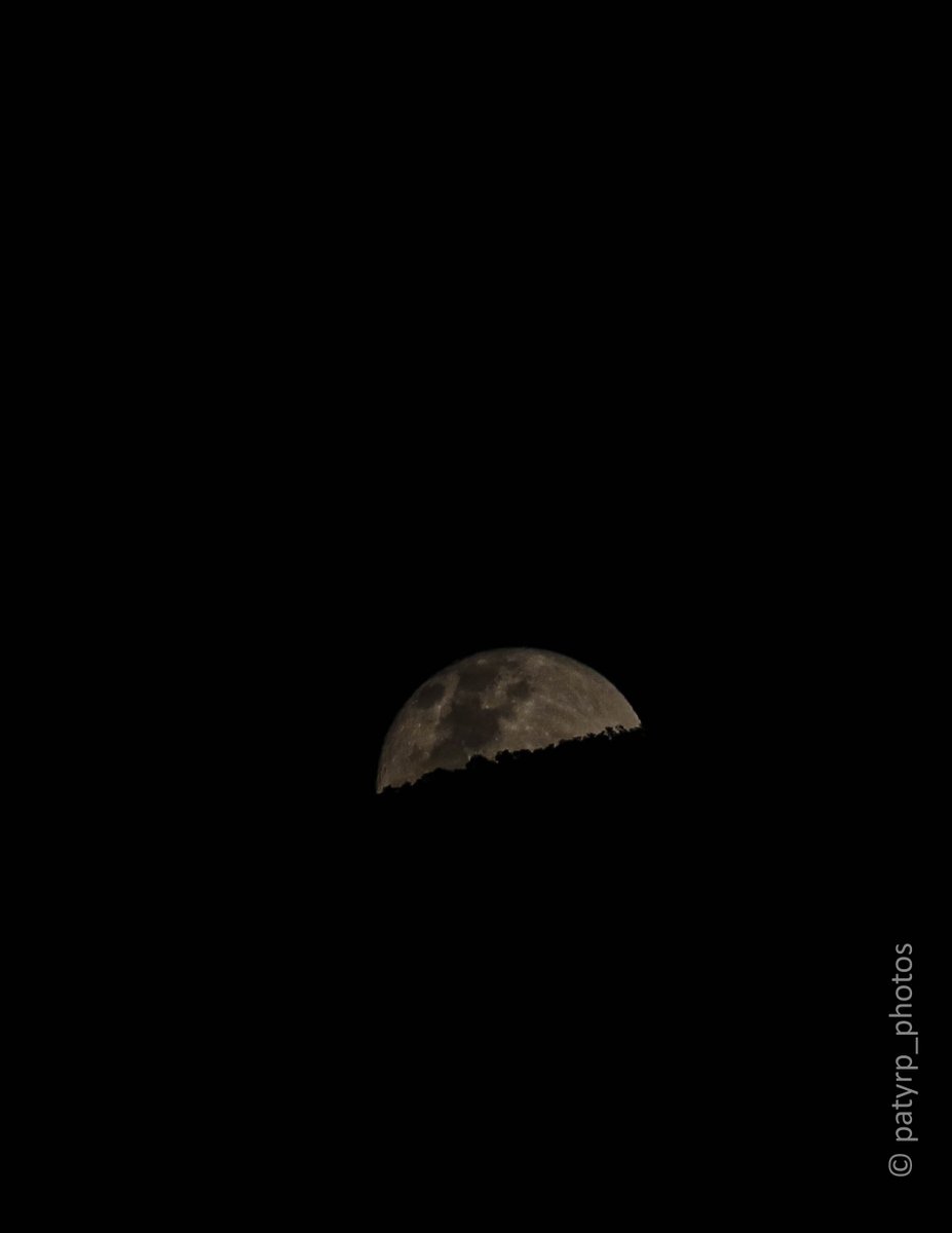 patysrp's tweet photo. Lua Cheia.... em 04/06/2023

De 2 a 4 de junho de 2023, a Lua estará cheia e brilhante no céu. Irá nascer ao lado da supergigante vermelha Antares, na constelação de Escorpião. Fotografar e admirara a lua é sempre uma experiência celestial única. https://t.co/4LDO7vcYYE