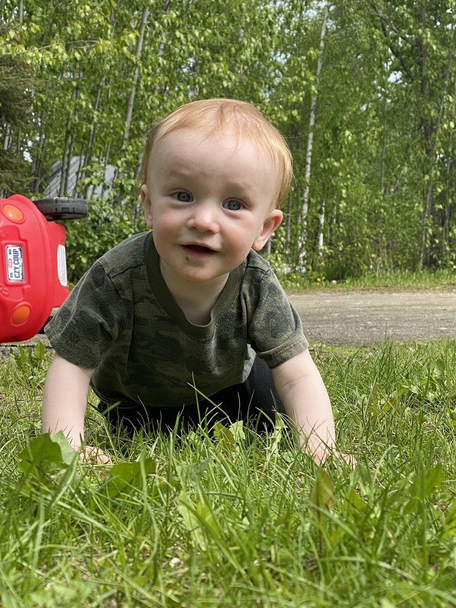 ColbyorGumbo's tweet photo. Finally a semi warm day and Jenson can play in the yard https://t.co/PLZAxk2Mpd