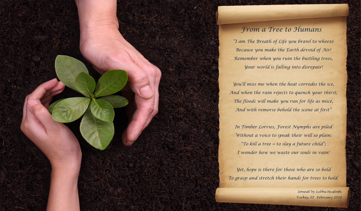 “Trees are sanctuaries. Whoever knows how to speak to them, whoever knows how to listen to them, can learn the truth.”― Herman Hesse 
Please, listen with your hearts:
youtu.be/prTUC9yWhUI

#ClimateAction #trees