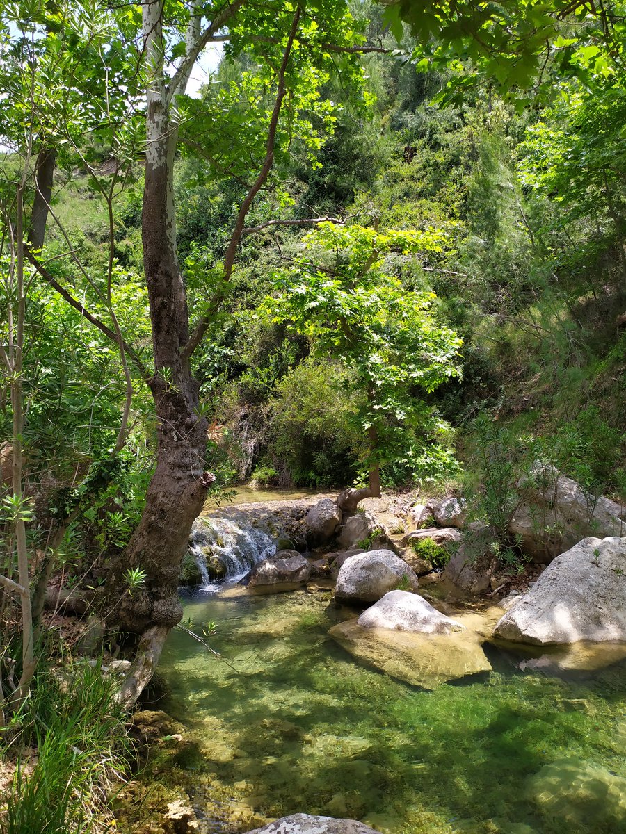 gkonst1's tweet photo. #Ραθες #Βαρναβας #Rathes #Varnava https://t.co/ipdFgM1QiY