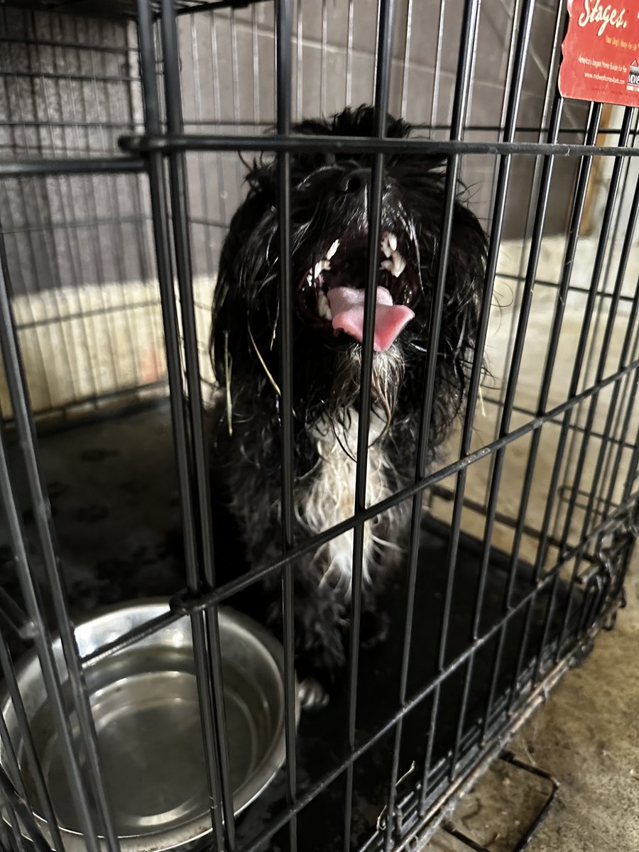 MiamiTwp PD tweet media