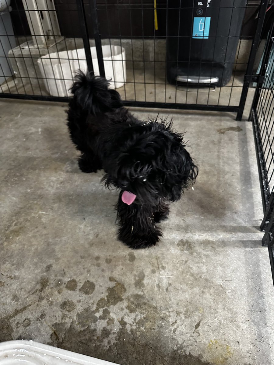 MiamiTwp PD tweet media