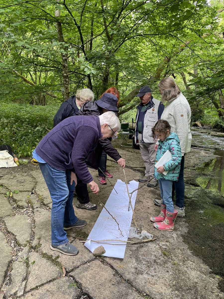 Session 5 Self reported benefits of nature based creative practice. Down by the beck in Deepdale Woods. #balderstone #nature #greenspace #ecoart #connecttonature #sound #ecotherapy #research at #universityofsunderland