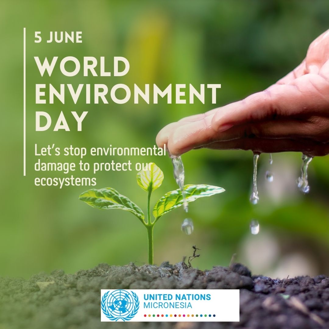 Today, June 5, 2023, is World Environment Day, a day that reminds us of our shared responsibility of keeping our #environment clean and protected from #pollution for a prosperous tomorrow.

#NoPlasticPacific #ProtectPacificEnvironments #BeatPlasticPollution #WorldOceansDay