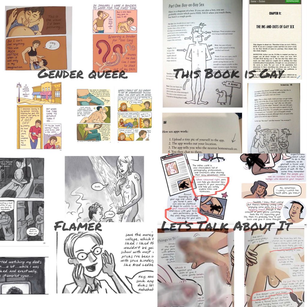 Your daily reminder that when they accuse us of “banning books” they’re referring to pornographic books which are offered to kids in schools across the country.

Why does the US Secretary of Education want kids reading porn like this in school?