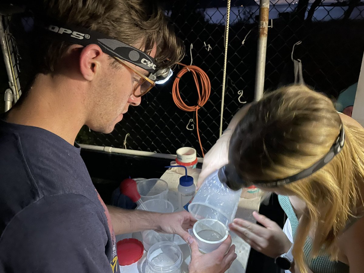 Filtering zooplankton. <a href="/osuearthscience/">The Ohio State University School of Earth Sciences</a> <a href="/osuresearch/">Ohio State News – Research</a>