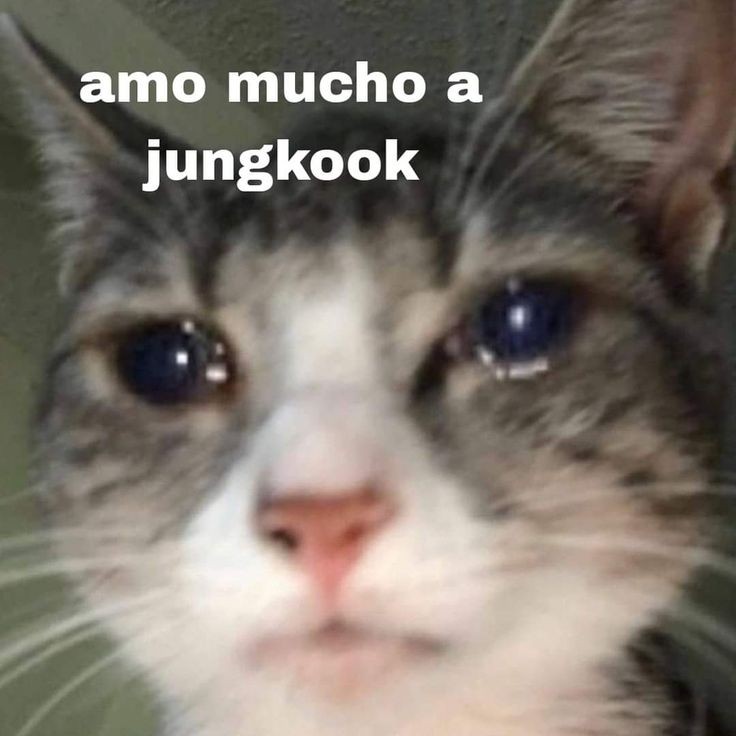 yo kada vez k jungkook hace la minima cosa en su live: