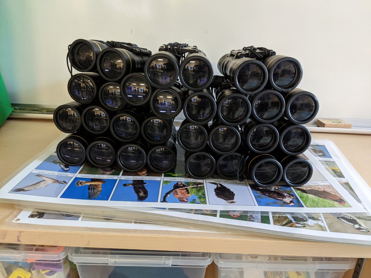 I spy a ..... 
"Bald Eagle" <a href="/WestOak/">West Oak Public School</a>. It was the perfect visitor, thank you <a href="/NaturesNEAR/">Nature’s N.E.A.R!</a> for your amazing guidance and support.