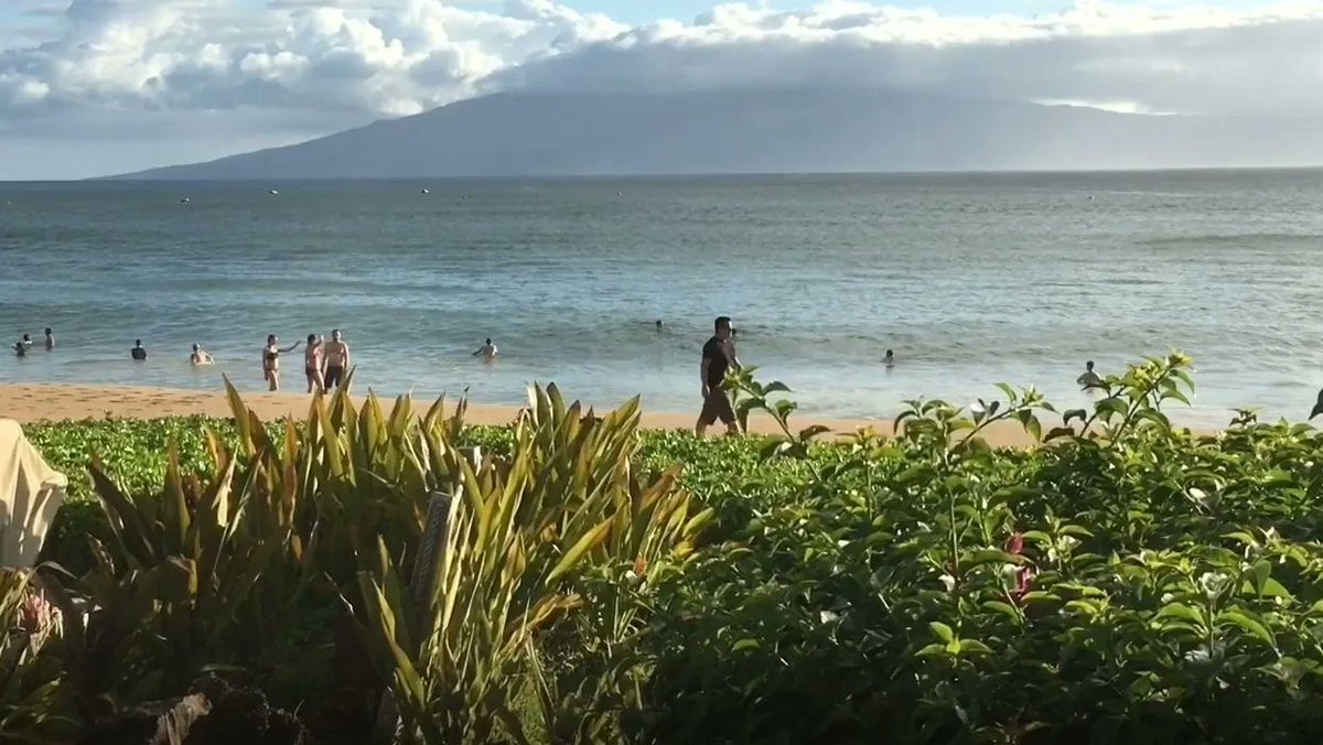 ucfoodietv's tweet image. Why Maui is a family destination. buff.ly/43mlpHV #Maui #Familydestination #travel #food #wine #mixology #golf #UndercoverJetsetter #JohnDaly #SusanAnzalone #TravelLikeALocal #shotOniPhone #offbeatenpath #wingdingTV #CanyonStarTV #Vacation #stayathome #Recipes