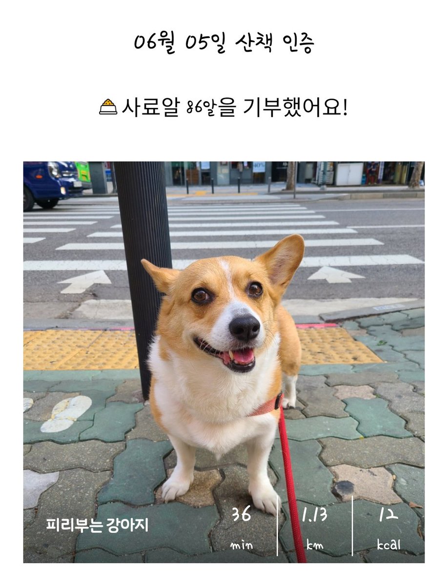 궁디씨 tweet media