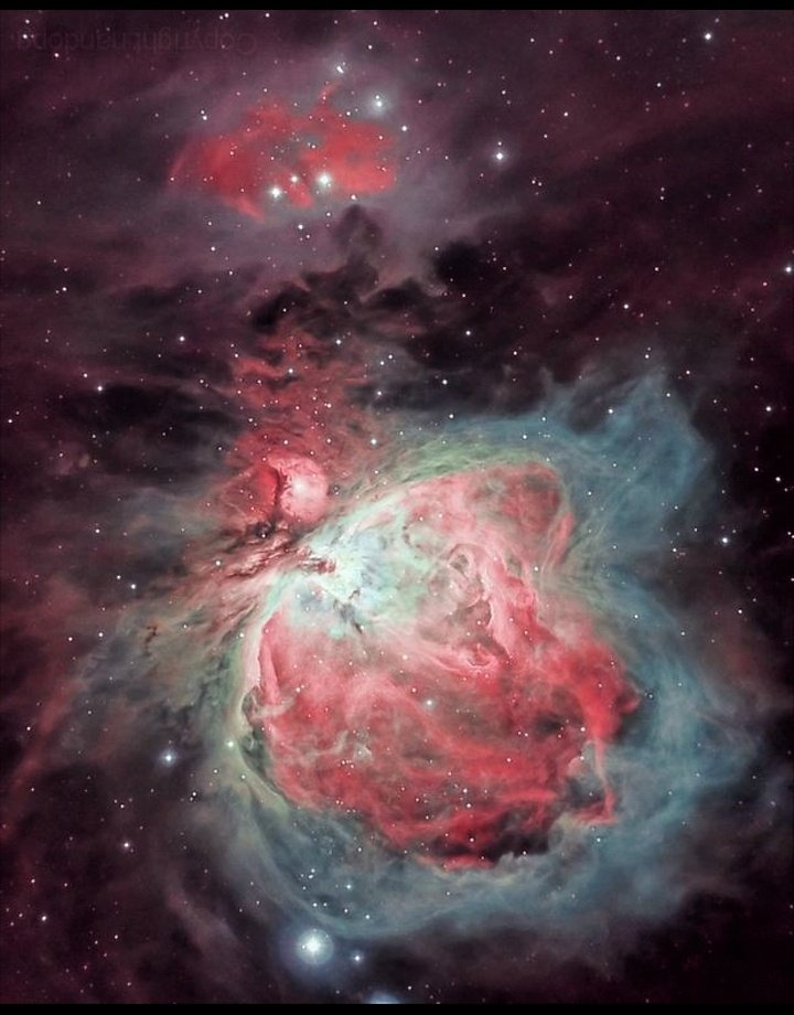 M42 Great Orión Nebula by Fernando (Astrobin)