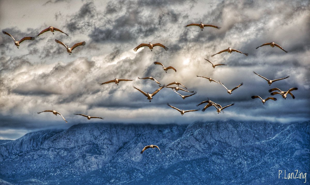 Migration at Sandia…