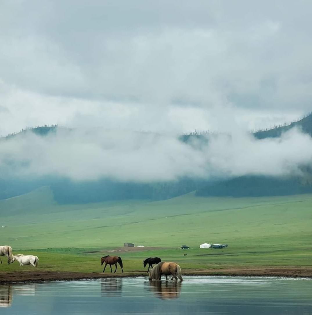 Шинэ долоо хоногийн өглөөний мэнд